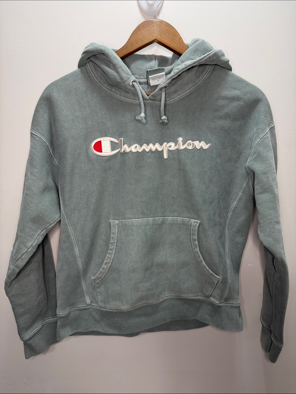 Champion Reverse Weave Unisex Sage Green Logo Hoodie 22x22